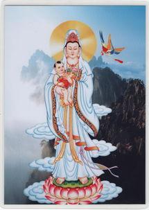 观音在线观看,揭秘网络世界中的慈悲女神 第3张 观音在线观看,揭秘网络世界中的慈悲女神 第3张